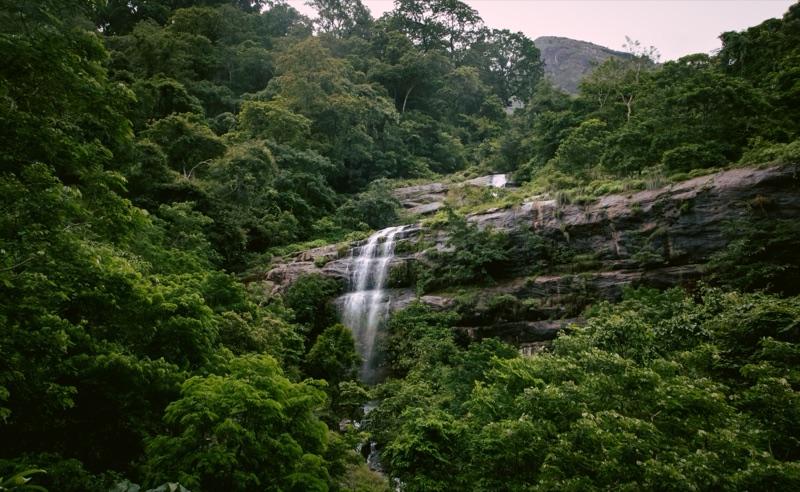 Tenkasi
